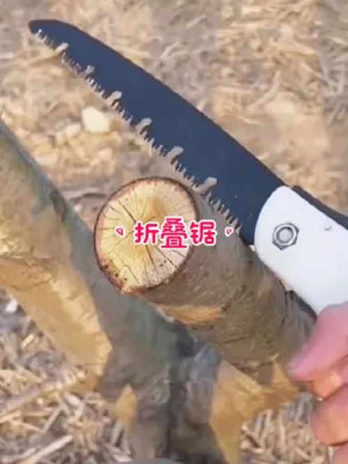 德國(guó)品質(zhì)，匠心之選 探索德國(guó)進(jìn)口折疊手工鋸在園林工具中的卓越應(yīng)用
