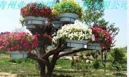 山東濰坊園林工具廠家最新報(bào)價(jià)與產(chǎn)品信息全解析